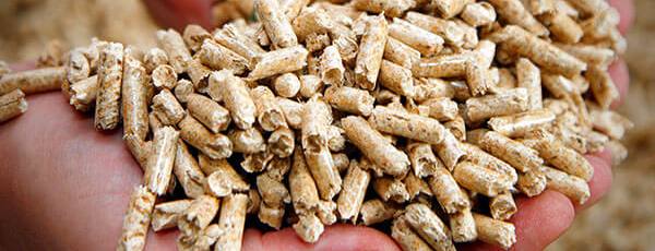 Bamboo and Wood Biomass Mobile Pellet Plant - 9
