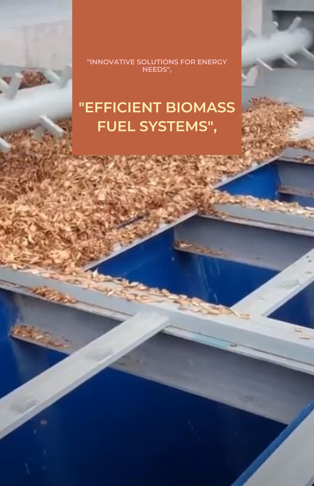 Boiler Biomass Fuel Feed System - 2